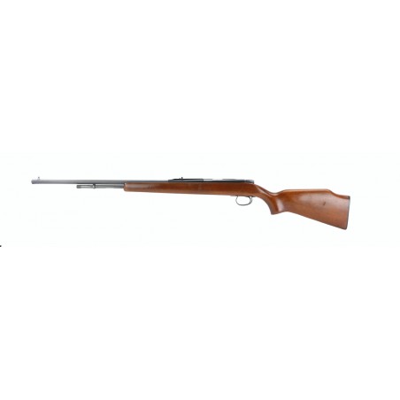 Remington 582 .22 S,L,LR (R21197)