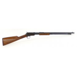 Winchester 06 .22 SLLR (W6600)