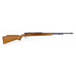 Remington Arms 582 .22 S,...