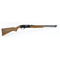 Winchester 190 .22 SLLR...