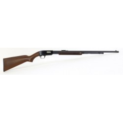 Winchester 61 .22 SLLR (W6569)
