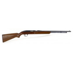 Winchester 77 .22 LR (W6548)