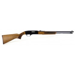 Winchester 190 .22 LLR (W6412)