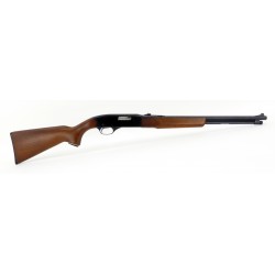 Winchester 290 .22 SLLR...