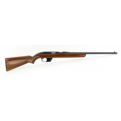 Winchester 77 .22 LR  (W6434)