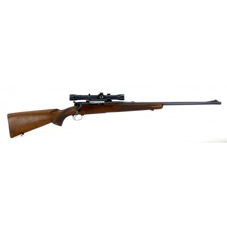 Winchester 70 .22 Hornet (W6427)