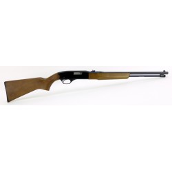 Winchester 190 .22 L,LR...