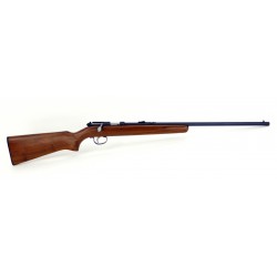 Remington Arms 514 .22...