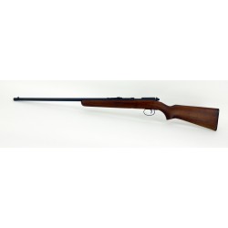 Remington Arms 514 .22...
