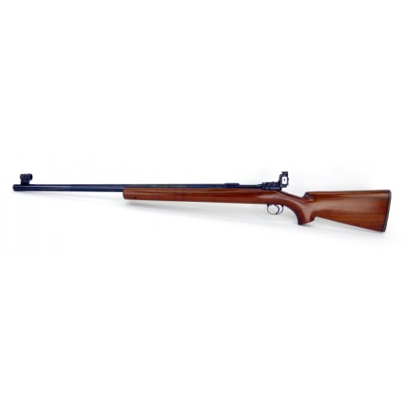 Remington Arms 40-X .22 LR (R16441)