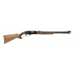 Winchester 250 .22 S, L, LR...