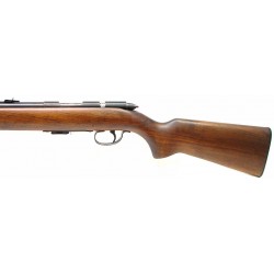 Remington Arms 511 .22...