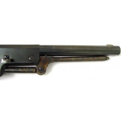 Colt 2nd Generation (C9194)