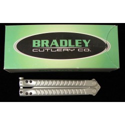 Bradley 5500 (K1389 )