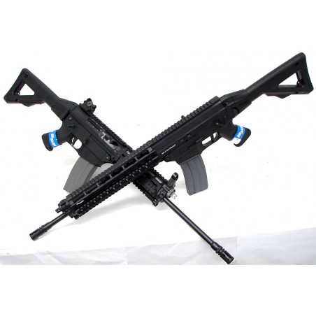 SigArms 556 .223 Rem caliber rifle paired with Sig Sauer 522 .22 LR caliber rifle. Limited edition 2 gun set "1 of 20 (R9919)