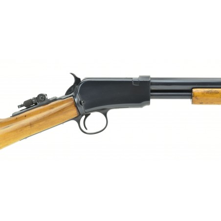 Winchester 1906 .22 S, L, LR (W10612)