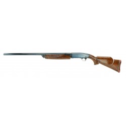 Remington 31 12 Gauge (S9904)