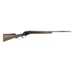 Winchester 01 10 Gauge (W9879)