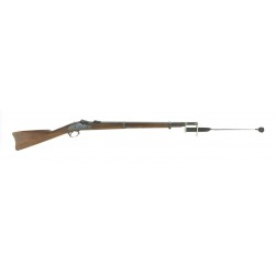 U.S. Fencing Rifle (AL4550)
