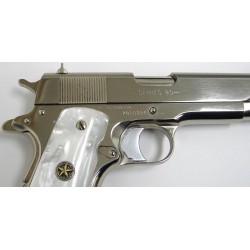 Colt Government Model .45...