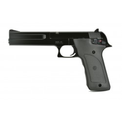 Smith & Wesson 422 .22 LR...