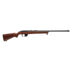 Winchester 77 .22 LR (W5872)