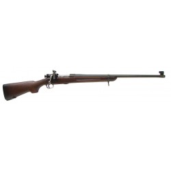 Springfield M1922 M1 .22...
