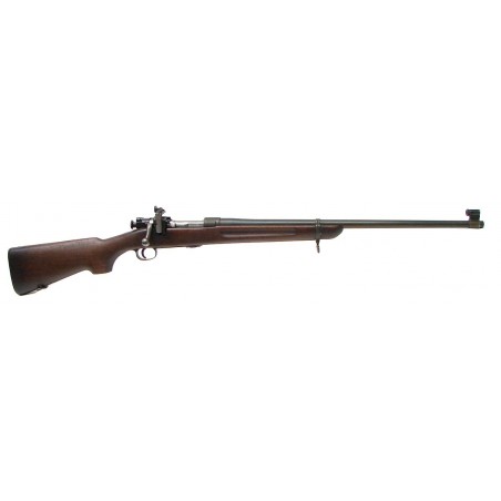 Springfield M1922 M1 .22 (R14891)
