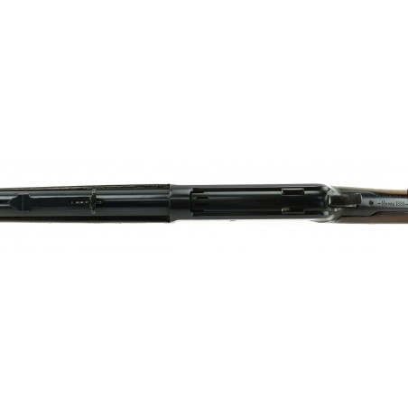 Winchester 1886 .38-56 Rifle (W9585)