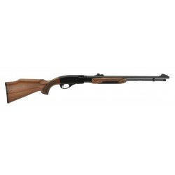 Remington 572 .22 S, L, LR...