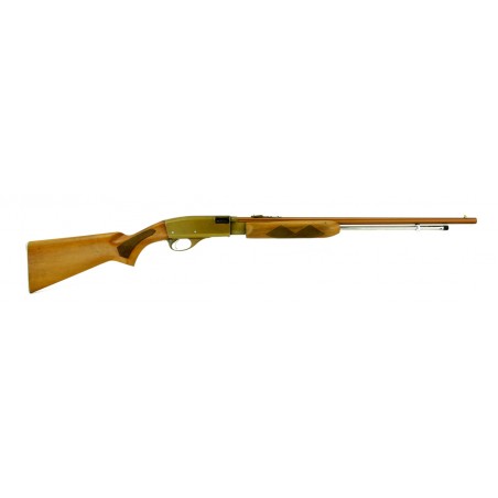 Remington 572 .22 S,L,LR (R22025)