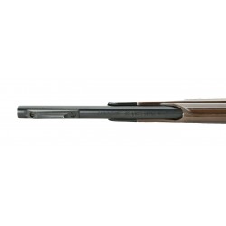Remington Nylon 66 .22 LR...
