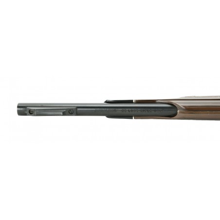 Remington Nylon 66 .22 LR (R21408)