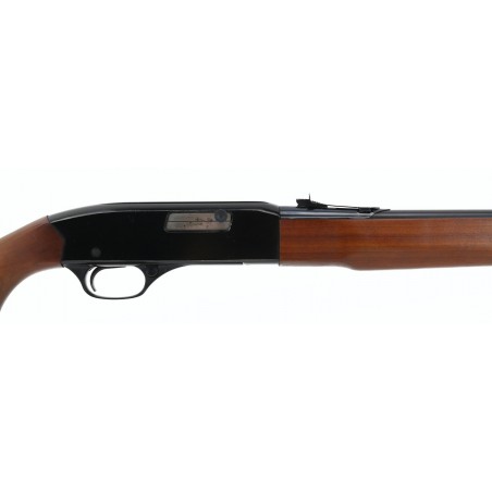 Winchester 190 .22S,L,LR (W9005)