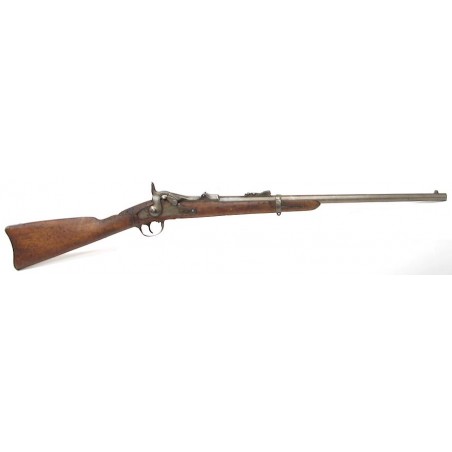 U.S. Model 1873 Springfield 1st Model carbine (AL2219)