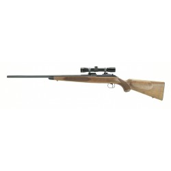 Winchester 52 .22 LR (W10349)
