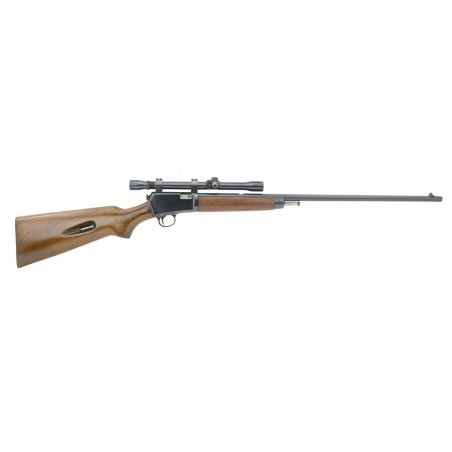 Winchester 63 .22 LR (W10873)