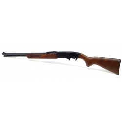 Winchester 275 .22 (W6070)