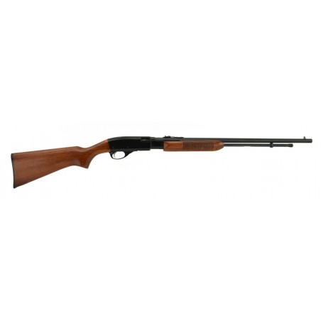 Remington 572 .22 S, L, LR (R22393)