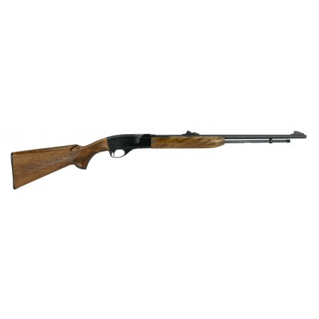 Remington 552 Speedmaster 22S,L,LR (R21513)