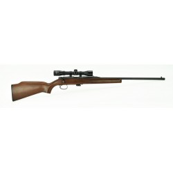 Remington 581 .22 S, L, LR...