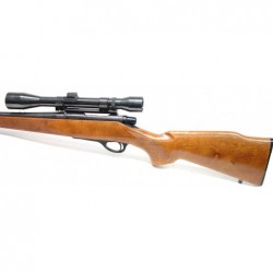 Remington Mohawk 600 6 MM...