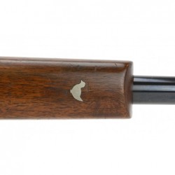 Remington 788 Roy Dunlap...