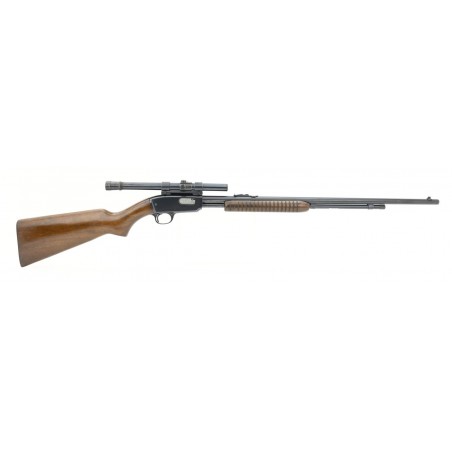 Winchester 61 .22 S, L, LR (W10928)