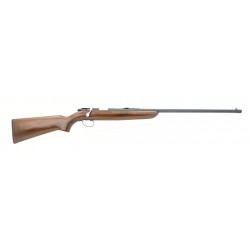 Remington 510 .22 S, L, LR...