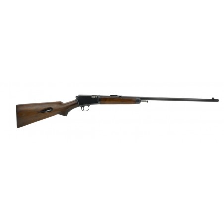 Winchester 63 .22 LR (W10953)