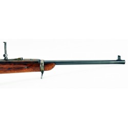 Springfield 1892/94 rifle...