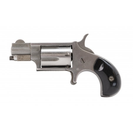 NAA Mini Revolver .22LR (PR52102)