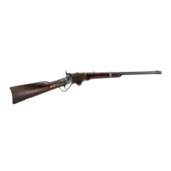 Spencer Model 1865 carbine...