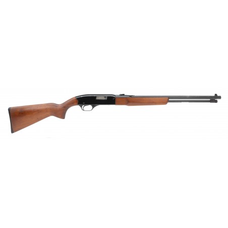 Winchester 190 .22 LR (W11047)